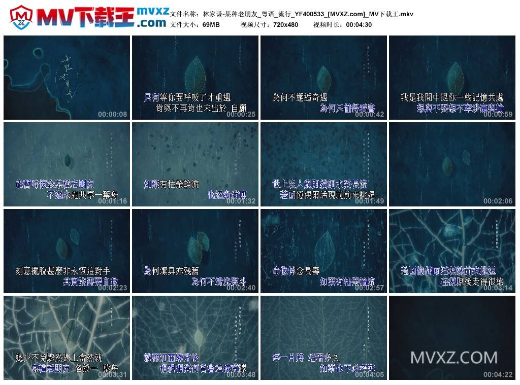 林家谦-某种老朋友_粤语_流行_YF400533
